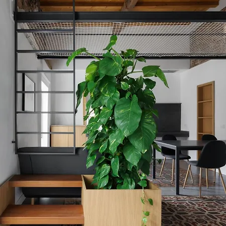 Della Giudecca * Katánie